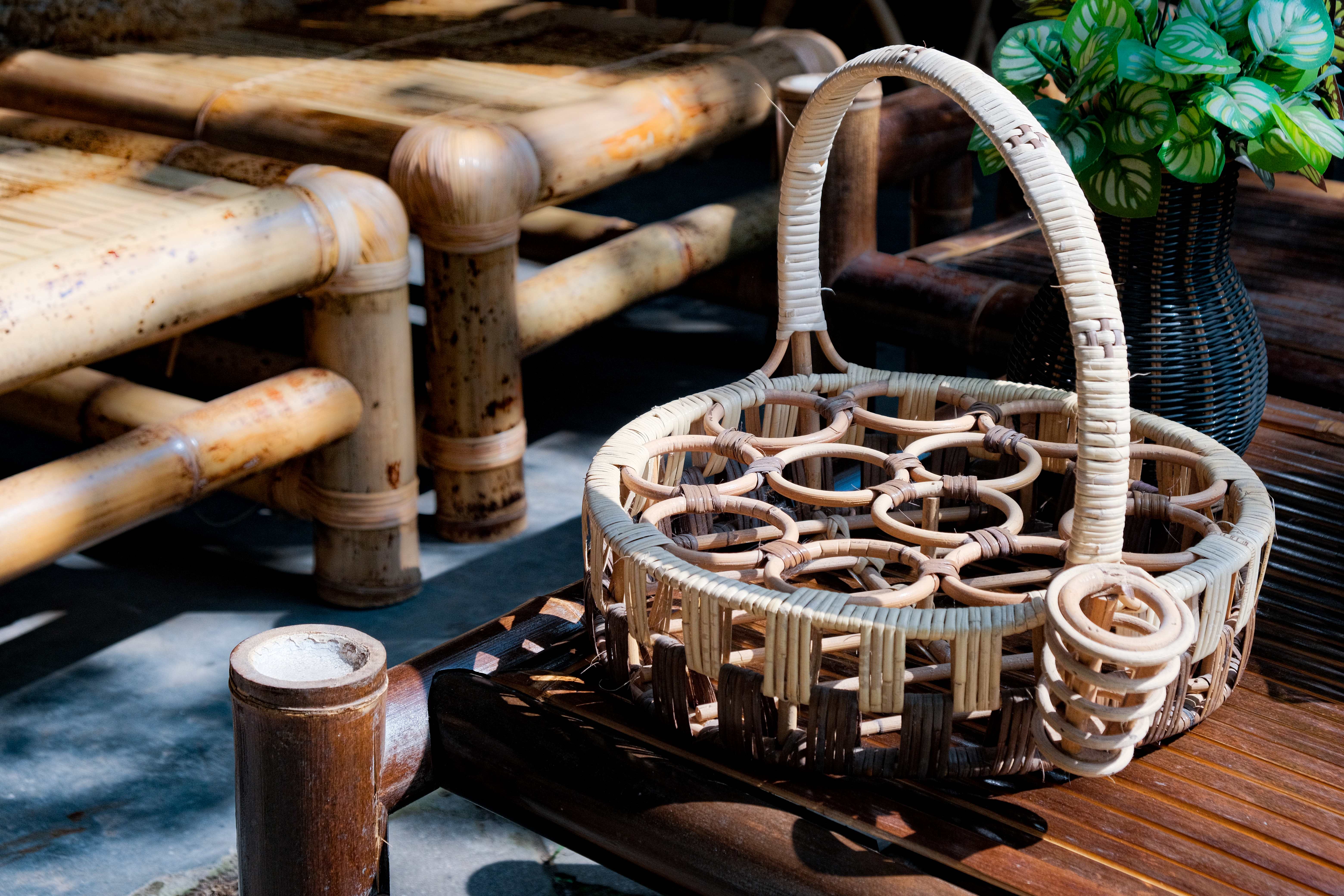 Dari Semak ke Dunia: Kisah Bambu Indah Sendari yang Mendunia